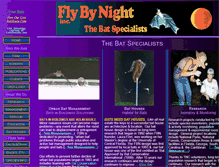 Tablet Screenshot of flybynightinc.org